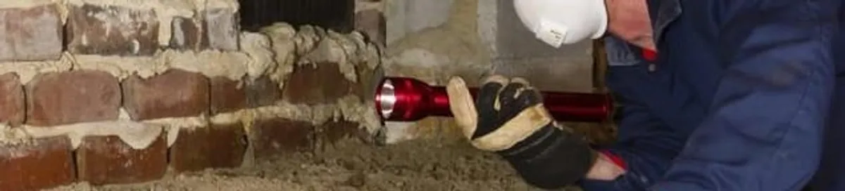 Pest control technician inspecting a crawl space for ant activity and entry points in Fresno, CA