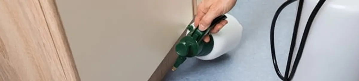 Bed bug exterminator treating baseboards and cracks with targeted spray in Fresno, CA