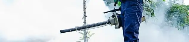 Pest control technician fogging an outdoor area for insect control in Fresno, CA