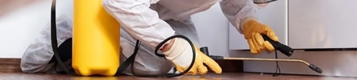 Roach exterminator treating cracks and crevices along kitchen baseboards in Fresno, CA