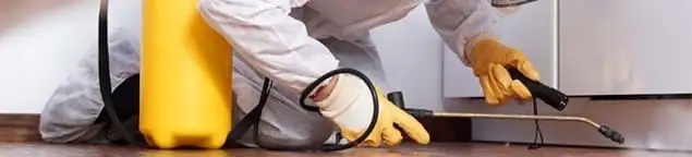 Roach exterminator treating cracks and crevices along kitchen baseboards in Fresno, CA