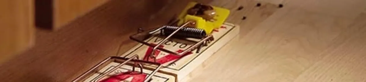 Rodent trap set indoors for rodent control and prevention in Fresno, CA