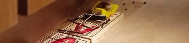Rodent trap set indoors for rodent control and prevention in Fresno, CA