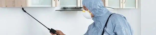 Termite treatment technician applying indoor pest control spray in Fresno, CA